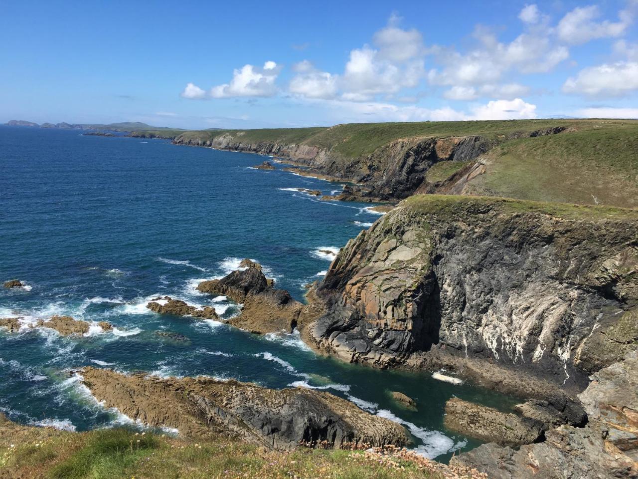 The Cambrian Inn Solva Exterior foto