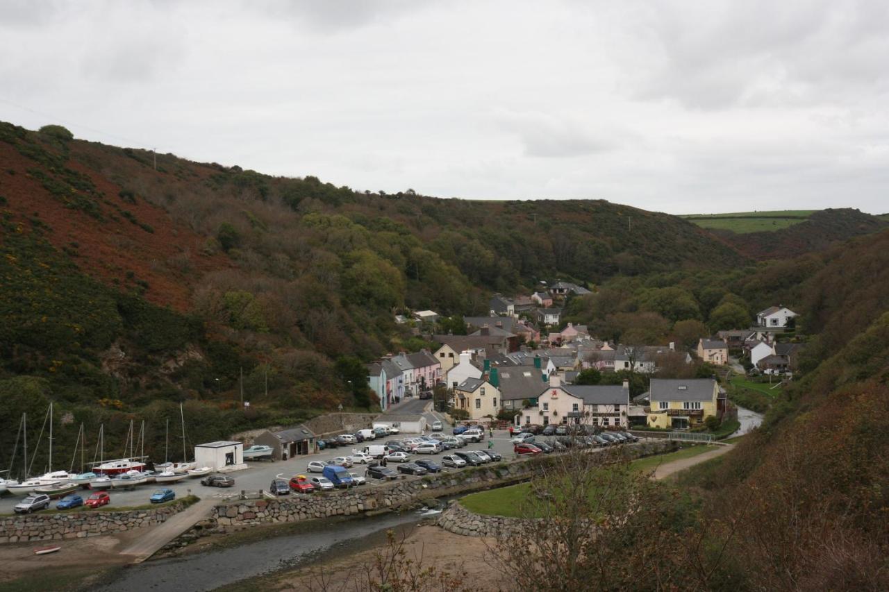 The Cambrian Inn Solva Exterior foto